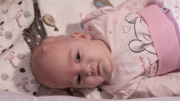 Po chyb v pardubick nemocnici se zastavil vvoj novorozence.