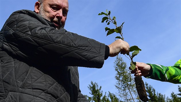 Ministr zemdlstv Miroslav Toman se v Komornm Hrdku na Beneovsku zastnil akce Den za obnovu lesa, pi kter lid pomhali s obnovou les zniench krovcem. (19. jna 2019)