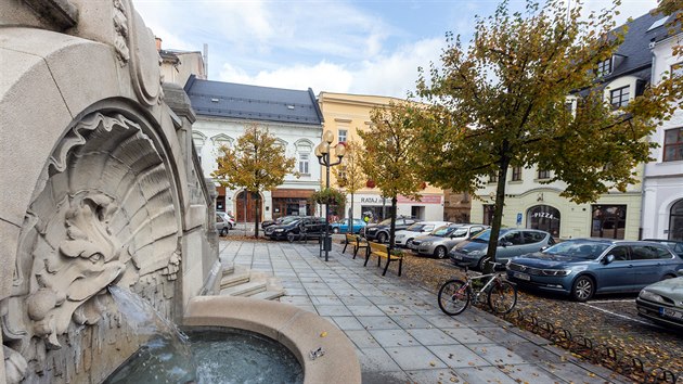 umpersk zastupitelstvo rozhodlo o vykcen aleje lip na nmst u radnice a jejich nahrazen javory. sti mstnch a ochrncm prody se to nelb.