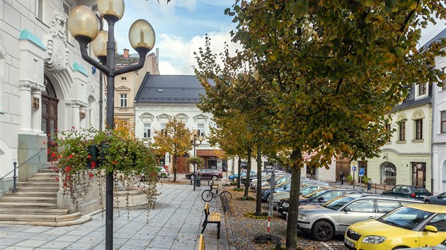 umpersk zastupitelstvo rozhodlo o vykcen aleje lip na nmst u radnice a jejich nahrazen javory. sti mstnch a ochrncm prody se to nelb.