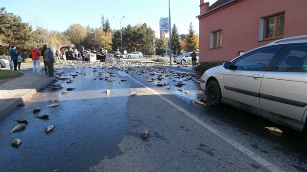 V Rakovnku se pevrtil traktor, kter vezl pes dv tuny ivch kapr. Ti se po nehod vysypali po cel ce komunikace a do vzdlenosti nkolika destek metr.