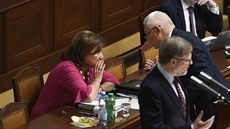 Ministryně financí Alena Schillerová hovoří s předsedou poslaneckého klubu ANO... Ministryně financí Alena Schillerová hovoří s předsedou poslaneckého klubu ANO...