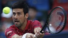 Novak Djokovi na turnaji v anghaji