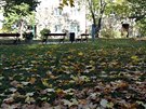 Zasílám pár podzimních fotografií pořízených na Sídlišti Zelená Liška v Praze 4-Krči. Zasílám pár podzimních fotografií pořízených na Sídlišti Zelená Liška v Praze 4-Krči.