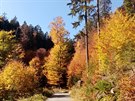 Podzim na Šumavě Podzim na Šumavě
