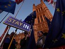 Odprci brexitu demonstrovali ped britskm parlamentem. (22. jna 2019)