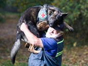 Německý ovčák Uran Buranos Lobos a psovod František Schejbal Německý ovčák Uran Buranos Lobos a psovod František Schejbal