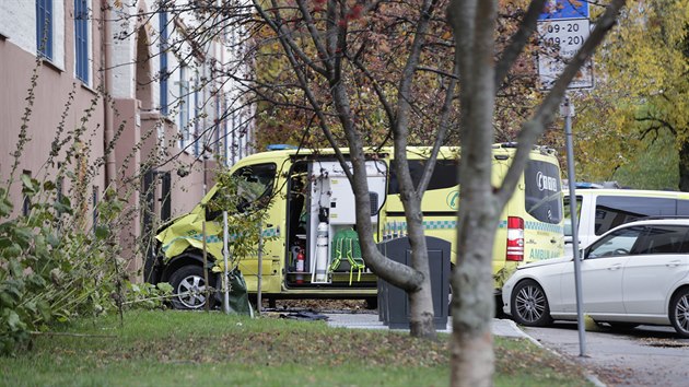 Norsk policie zadrela ozbrojenho mue, kter v Oslu ukradl sanitn vz a srazil nkolik lid. (22. jna 2019)