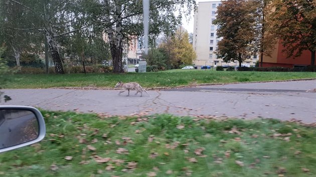 Po sdliti Krsn Bezno bh nemocn lika.