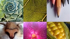 Motorola One Macro Motorola One Macro