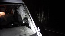 Na projíždějící dodávku spadl strom, který předtím nahlodal bobr. Na projíždějící dodávku spadl strom, který předtím nahlodal bobr.