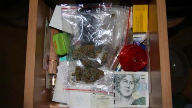 V jednom z dom na Plnsku objevili policist pstrnu marihuany.