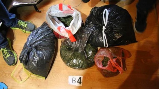 V jednom z dom na Plnsku objevili policist pstrnu marihuany.