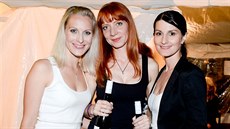 Skupina Holki v roce 2014. Zleva: Katka Brzobohatá, Radana Labajová, Nikola... Skupina Holki v roce 2014. Zleva: Katka Brzobohatá, Radana Labajová, Nikola...