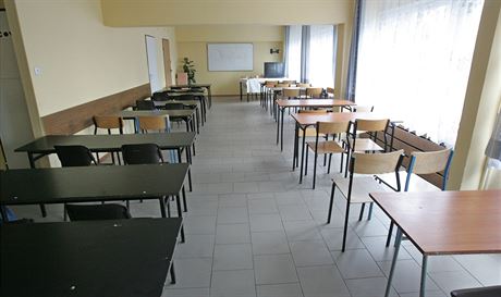 Ministerstvo kolství chce vdt, kolik dtí se vzdlává podle vzdlávacího programu pro dti s lehkým mozkovým postiením (ilustraní snímek).