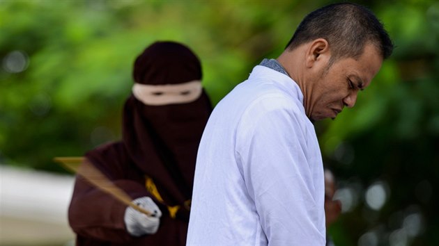 Indonsk nboensk specialista byl potrestn za cizolostv. Trest inspirovan islmskm prvem ara sm pomhal zavdt. (31. jna 2019)