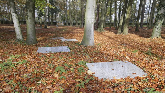 Plze m jako jedin v Plzeskm kraji takzvan lesn hbitov. Akoliv funguje u rok, zatm v nm nikdo pochovn nen. (1. 11. 2019)