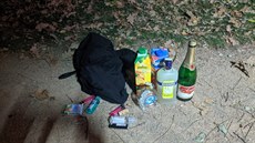 Šumivé víno, likér i slivovici si přinesla na party patnáctiletá dívka. Šumivé víno, likér i slivovici si přinesla na party patnáctiletá dívka.