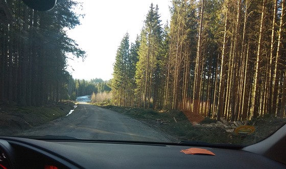Silnice z Nové Pece k rakouským hranicím. Snímek je z bezna 2019