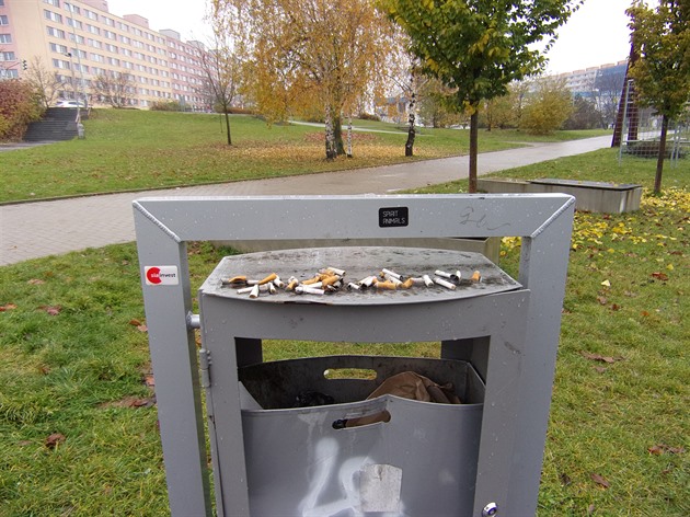 Před školou. Snad by to šlo vyřešit lépe.