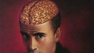 10 fakt o lidském mozku, které hlava nebere