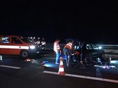 Sražený chodec Sražený chodec