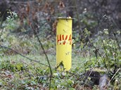 Někdejší skládku sklářských odpadů na kopci nad Okříškami už dnes téměř nic... Někdejší skládku sklářských odpadů na kopci nad Okříškami už dnes téměř nic...