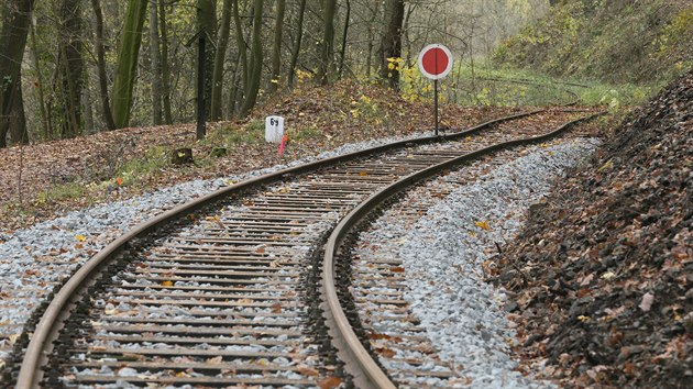 Nov koleje kon zatm v lese nad mlnem. (19. listopadu 2019)