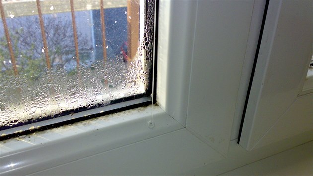 Orosen okno je znmkou nejen nekvalitn vyrobenho okna, ale pedevm ptomnosti vysok vlhkosti a nzk teploty v interiru.