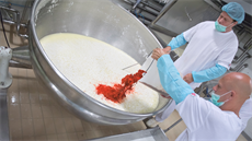 Výroba sýr v moravské sýrárn spolenosti Brazzale (díve Orrero).