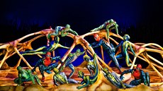Cirque du Soleil - TOTEM Cirque du Soleil - TOTEM