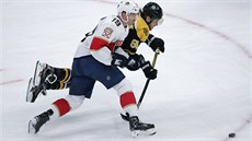 David Pastrňák (vpravo) z Bostonu bráněný Mikem Mathesonem z Floridy. David Pastrňák (vpravo) z Bostonu bráněný Mikem Mathesonem z Floridy.