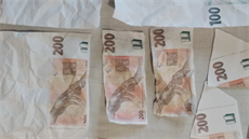 Za padělané bankovky nižší nominální hodnoty se mladému muži podařilo nakoupit. Za padělané bankovky nižší nominální hodnoty se mladému muži podařilo nakoupit.