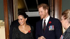 Vévodkyn Meghan a princ Harry v Royal Albert Hall na slavnosti pipomínající...