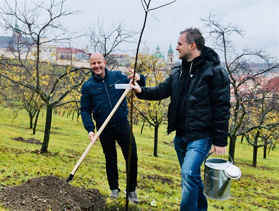 Primátor (vpravo) a jeho námstek Petr Hlubuek sázeli minulý týden na Petín.