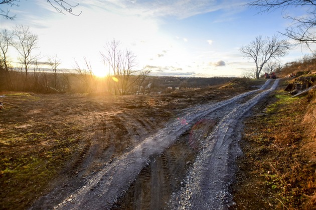 Stromy a kee na stráních nad Vltavou v Praze 8 vykáceli dlníci v minulých...