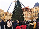 Vánoční strom na Staroměstském náměstí je již na svém místě, na okolních stromech jsou světelné řetězy, na nedalekém Ovocném trhu je stavěno kluziště. Vánoční strom na Staroměstském náměstí je již na svém místě, na okolních stromech jsou světelné řetězy, na nedalekém Ovocném trhu je stavěno kluziště.