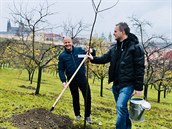 Primátor (vpravo) a jeho náměstek Petr Hlubuček sázeli minulý týden na Petříně. Primátor (vpravo) a jeho náměstek Petr Hlubuček sázeli minulý týden na Petříně.