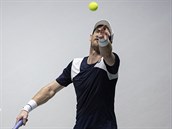 Andy Murray na finlovm turnaji Davis Cupu