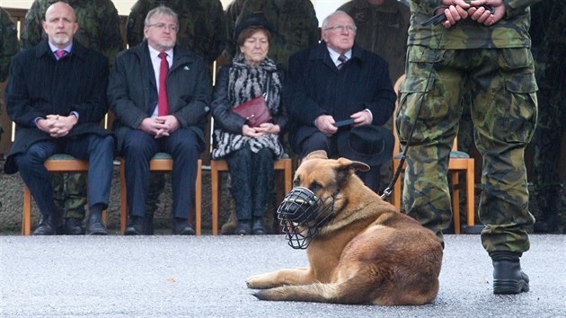 Slavnostnmu nstupu pod grabtejnskm hradem pihlel i Doky, jeden ze dvou ps, kter Tom Prochzka cviil. (29. listopadu 2019)