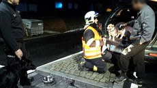 Řidička odešla od havarovaného vozu a v kufru nechala zavřené tři psy. Řidička odešla od havarovaného vozu a v kufru nechala zavřené tři psy.
