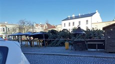 V centru Holešova se zřítil vánoční strom. (23. listopadu) V centru Holešova se zřítil vánoční strom. (23. listopadu)