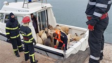 V rumunském přístavu Midia se v neděli převrátila nákladní loď převážející 14... V rumunském přístavu Midia se v neděli převrátila nákladní loď převážející 14...