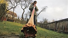 Tomáš Dufek hraje na jedno ze svých didgeridoo, vyrobené z přírodně tvarovaného... Tomáš Dufek hraje na jedno ze svých didgeridoo, vyrobené z přírodně tvarovaného...