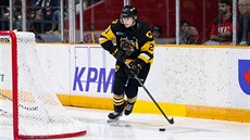 Jan Jeník v dresu Hamilton Bulldogs. Jan Jeník v dresu Hamilton Bulldogs.