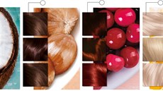 L'Oreal Paris L'Oreal Paris