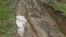 Česká inspekce životního prostředí v Plzni udělila půlmilionovou pokutu firmě,... Česká inspekce životního prostředí v Plzni udělila půlmilionovou pokutu firmě,...