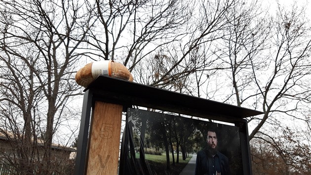 Bochník chleba pro kolemjdoucího v pražských Strašnicích v ulici Solidarity při vstupu do Jiráskovy Aleje. Má to ale háček. Svačina je umístěna hodně vysoko a chce to být i všímavý.