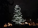 Na Sídlišti Solidarita v Praze 10-Strašnicích se dnes rozzářil vánoční strom. Na Sídlišti Solidarita v Praze 10-Strašnicích se dnes rozzářil vánoční strom.