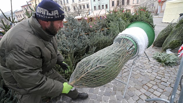 Vánoční stromky z plantáží prodávají u většiny velkých obchodních řetězů, v... Vánoční stromky z plantáží prodávají u většiny velkých obchodních řetězů, v...